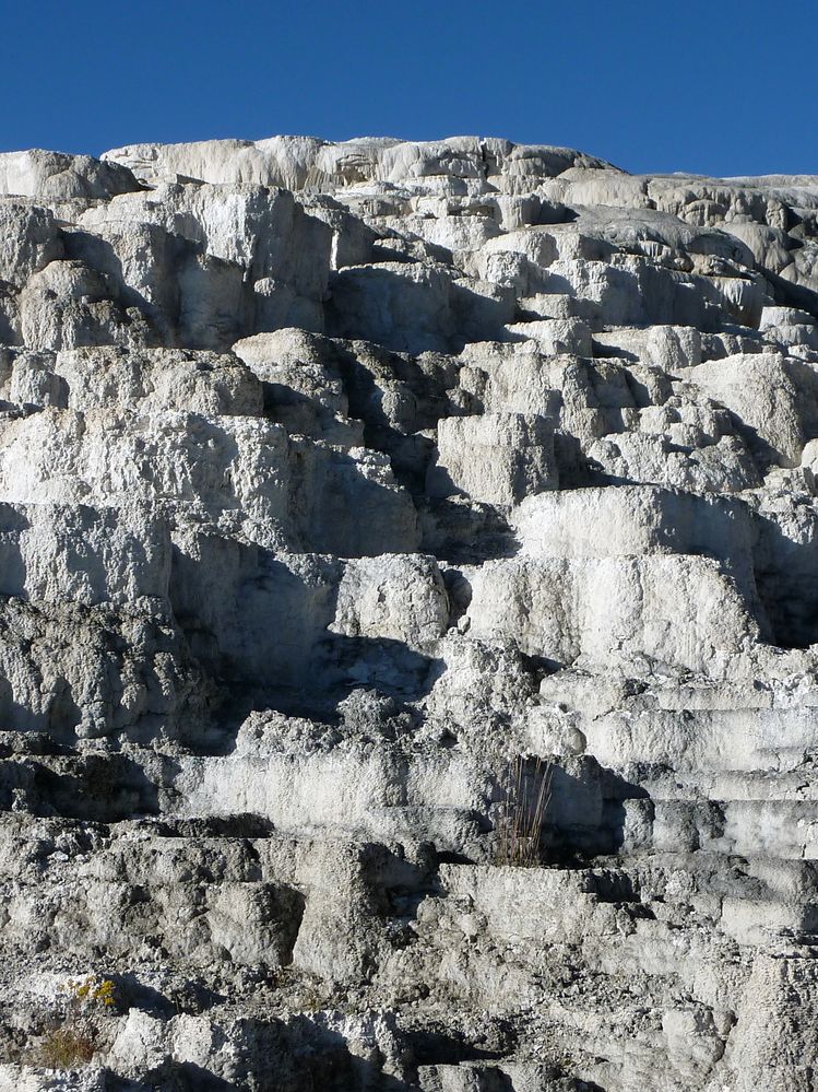 Yellowstone Mammoth Hotsprings Minerva terrace (3).JPG